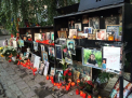 Patru ani de la tragedia din Colectiv, dar niciun vinovat. In ce stadiu este ancheta - GALERIE FOTO