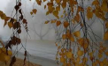 Vremea se raceste. Noaptea, temperaturile vor ajunge pana la - 2 grade in capitala. Ce temperaturi se asteapta in celelalte regiuni ale tarii. Prognoza meteo - FOTO