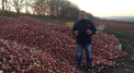 Tone de mere se strica in livezile de la Donduseni. Agricultorii sunt nevoiti sa le dea aproape gratis: 1,60 lei pentru 1 kg: "Bataie de joc" - VIDEO