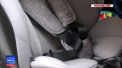 Un dispozitiv care impiedica parintii sa uite copiii in masina a devenit obligatoriu in Italia. Ministerul Transporturilor de acolo a emis o lege in acest sens - VIDEO