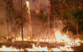 Incendii uriase, in toata Australia. Scene parca desprinse din „Infernul” lui Dante - VIDEO