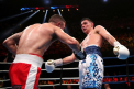 Un boxer australian a decedat dupa un pumn primit la antrenament - VIDEO