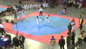 Cei mai buni luptatori de Taekwondo s-au adunat la Chisinau. Peste 500 de sportivi din Turcia, Rusia, Ucraina, Romania, dar si alte tari si-au demonstrat abilitatile la Cupa ambasadorului Coreei de Sud la Taekwondo - VIDEO