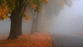 Un inceput de saptamana rece se asteapta astazi, dar si in urmatoarele zile. Cum va fi vremea in toate regiunile tarii. Prognoza meteo -  FOTO