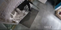 Un magazin Enter din nordul tarii a fost jefuit in aceasta noapte (VIDEO)