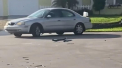 Un caine, ramas singur in masina, a pornit autovehiculul si a mers in cerc timp de o ora