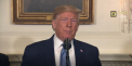 Pelliron 29.11.2019: Donald Trump eticheteaza Blocul European drept inamic in relatiile comerciale internationale