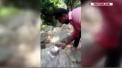 O maimuta i-a stricat surpriza. Un barbat, care tocmai urma sa taie tortul aniversar a ramas fara el, dupa ce la sarbatoare a aparut un oaspete nepoftit - VIDEO