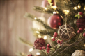 Momente de panica pentru o familie. „Decoratiunea” din brad care a prins viata
