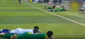 Un meci de fotbal dintre doua echipe din Tanzania, intrerupt din cauza unui roi de albine - VIDEO