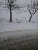 Primavara cu ...ninsori. NINGE in mai multe localitati din tara - FOTO