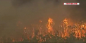 Imagini apocaliptice pe coasta de est a Australiei, unde mii de oameni au fost nevoiti sa se refugieze din cauza incendiilor de vegetatie - VIDEO