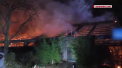 Cel putin 30 de animale au murit in urma unui incendiu izbucnit la o gradina zoologica din Germania - VIDEO