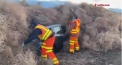 Imagini incredibile si spectaculoase au fost surprinse pe o strada din Statele Unite. Mai multi soferi au ramas prinsi in tufisuri imense - VIDEO