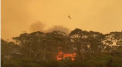Incendiile devastatoare din Australia nu afecteaza startul noului sezon din tenisul de camp. In schimb lumea tenisului se mobilizeaza pentru a strange fonduri destinate victimelor - VIDEO