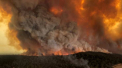 Incendiile din Australia au scos in strada mii de oameni. Acestia au protestat, acuzand guvernul ca nu face nimic pentru a stinge focul - VIDEO