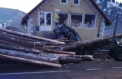 O femeie a murit, dupa ce masina ei a fost strivita de bustenii cazuti dintr-o remorca