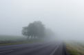 Ceata in capitala. Ce temperaturi ne asteapta astazi, dar si in urmatoarele zile. Prognoza meteo - FOTO
