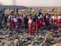 Iranul trimite in Ucraina cutiile negre ale avionului ucrainean prabusit. Ce spun autoritatile