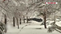 Este iarna in toata legea in Iran, unde ninsorile abundente au facut probleme soferilor. Din cauza strazilor acoperite de gheata si zapada, au avut loc numeroase accidente rutiere - VIDEO