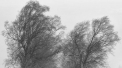 Cum va fi vremea in capitala, dar si in celelalte regiuni. Prognoza meteo - FOTO