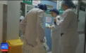 Informatii false despre coronavirus produc panica in China. Oamenii isi arunca animalele de la etaj