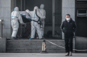 Un nou virus foarte periculos a fost descoperit in China. Autoritatile au sacrificat 18.000 de gaini