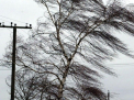 Cod galben de vant puternic in toata tara. Meteorologii au emis o avertizare - FOTO