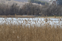 Inceput de saptamana cu maxime de pana la + 8 grade, in capitala. Ce temperaturi se vor inregistra in toate regiunile tarii. Prognoza meteo - FOTO