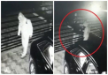 Momentul in care hotii fura bolidul de lux al unui om de afaceri din curtea casei - VIDEO