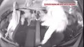 Momentul socant in care un autobuz plin cu elevi este izbit intr-o intersectie - VIDEO 
