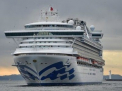 355 de persoane sunt infectate cu coronavirus pe nava Diamond Princess
