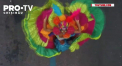 Cele mai bune scoli de samba fac ultimele pregatiri, pentru faimosul carnaval brazilian de la Rio de Janeiro. Este sarbatoare in fiecare cartier din oras, fie el cat de sarac - VIDEO