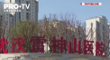 Ultimul bilant al celor decedati de coronavirus arata ca boala a facut deja peste doua mii de victime. Doar intr-o zi s-au stins 132 de persoane, anunta autoritatile chineze - VIDEO