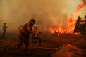 Ce suprafata de padure a fost distrusa in urma incendiilor de vegetatie din Australia