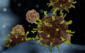 Epidemia de coronavirus. Alte 2 tari din Europa au anuntat primele cazuri