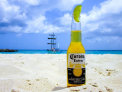 Coronavirusul loveste si in berea Corona | Actiunile Constellation Brands au scazut cu 8%