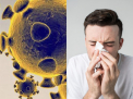 Coronavirus in Romania: Numarul imbolnavirilor a ajuns la 30 / Este al 12-lea caz in Bucuresti