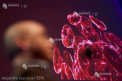 Coronavirus: Rusia a inceput primele teste pe animale pentru un vaccin