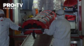 Romania se pregateste pentru a face fata unui numar de peste 2 mii de imbolnaviri. Armata a inceput construirea unui spital de campanie. Autoritatile spun ca se asteapta la o crestere semnificativa a numarului de imbolnaviri - VIDEO