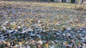 Codul galben de seceta ramane in vigoare. In capitala se asteapta pana la +9 grade. Cum va fi vremea in celelalte regiuni. Prognoza meteo - FOTO