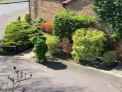 Un barbat din Marea Britanie s-a gandit la o solutie ca sa poata iesi din casa. S-a imbracat intr-un costum din frunze, asemanator unui tufis si a iesit in strada, sperand sa treaca neobservat - VIDEO