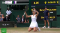 Organizatorii turneului de la Wimbledon au anuntat ca editia din acest an nu va mai avea loc - VIDEO