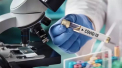 Curiosi cum s-ar putea sfarsi pandemia de COVID-19? Iata cum s-au incheiat epidemiile de Ebola, SARS si H1N1