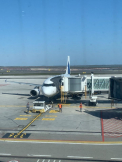 180 de moldoveni au fost repatriati in RM din Italia - GALERIE FOTO