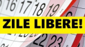 Oficial. De maine, bugetarii au zile libere. Vezi pana cand