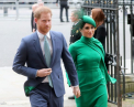 Printul Harry si Meghan vor sa infiinteze o noua organizatie de caritate, denumita Archewell