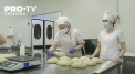 Pandemia nu pleaca, dar sarbatorile vin. Patiserii s-au pus sorturile si lucreaza de zor la impletit cozonaci. Comenzi au multe – de asta nu se plang, angajati sunt insa mai putini - VIDEO