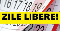Bugetarii vor avea si in continuare zile libere. Anuntul facut de Ion Chicu: "8 iunie - zi libera". Vezi de ce 