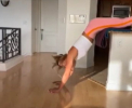 Poti sa inoti si fara ... apa ! O campioana mondiala vine cu dovada - VIDEO
